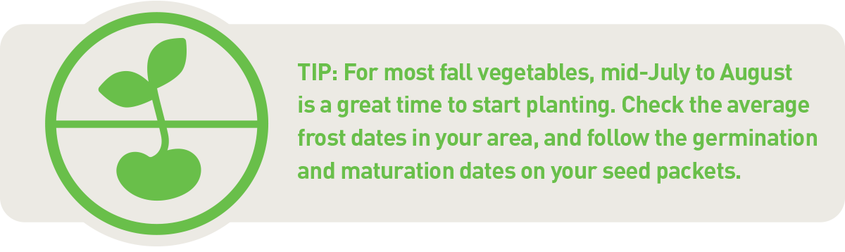 fall gardening tips