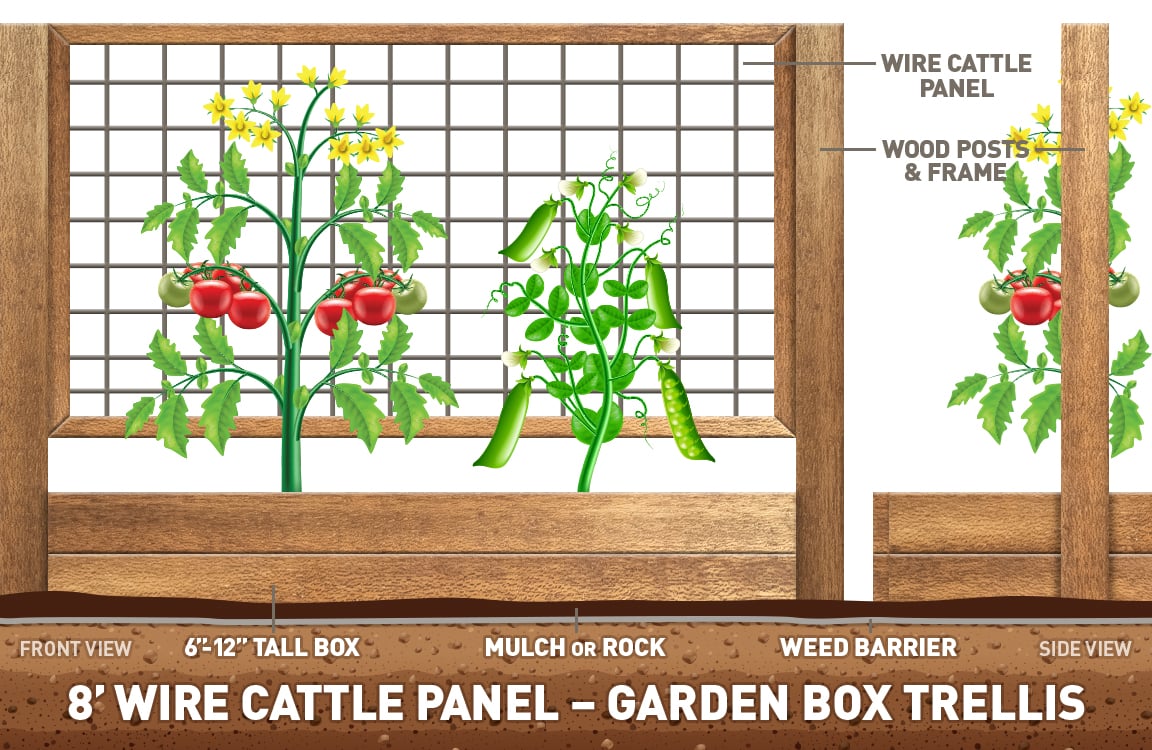 cattle panel garden box trellis DIY ideas