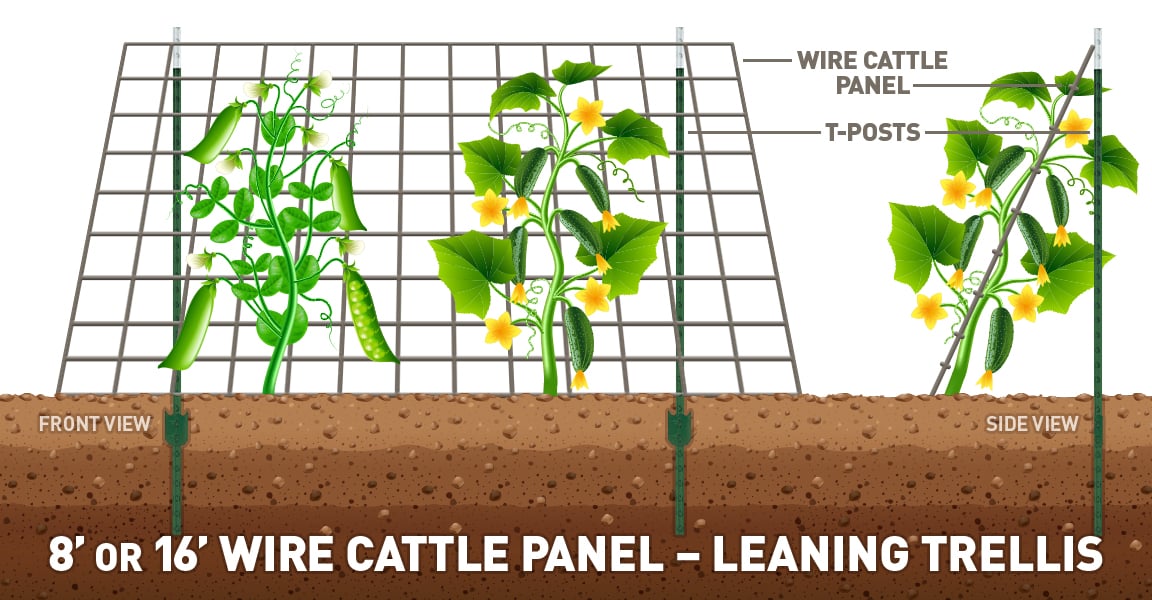 cattle panel leaning & a-frame trellis DIY idea