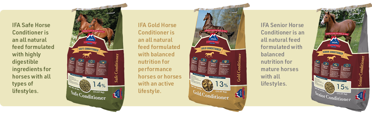 IFA's line of premium horse feed