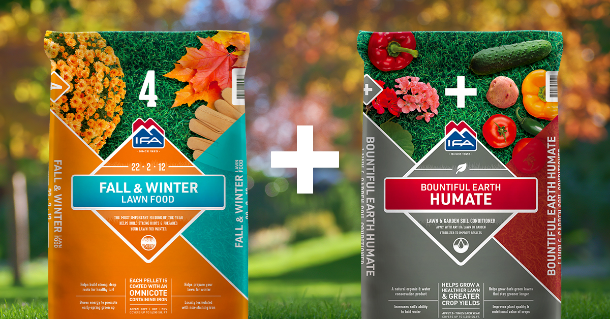 Fall & Winter Lawn Fertilizer Step 4 to a Healthy Lawn IFA's Blog