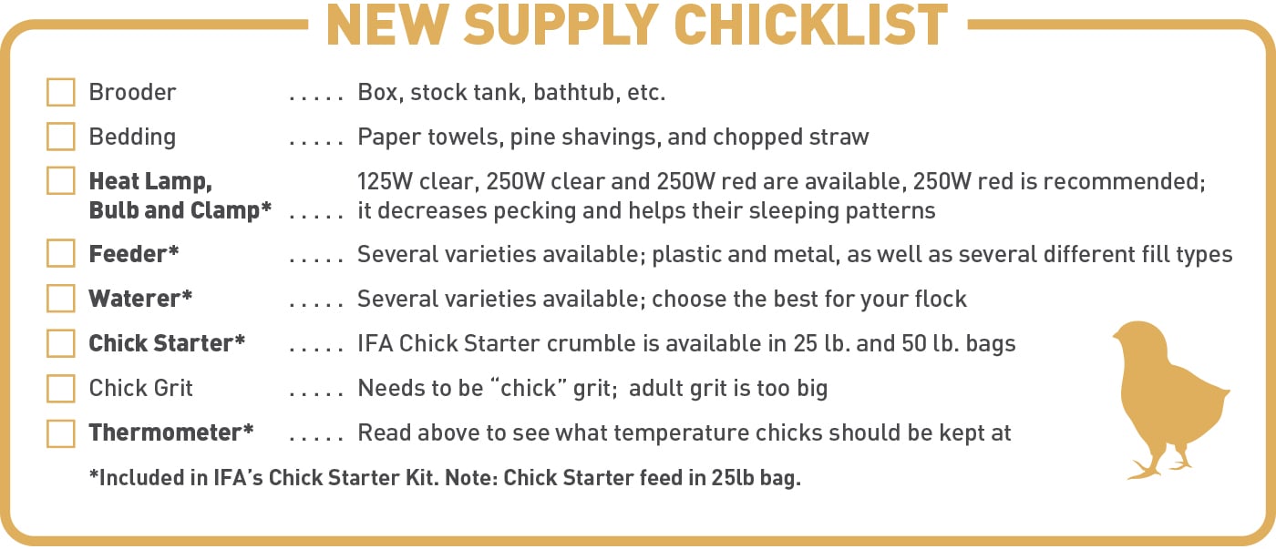 checklist to what you'll need to start raising your own chickens