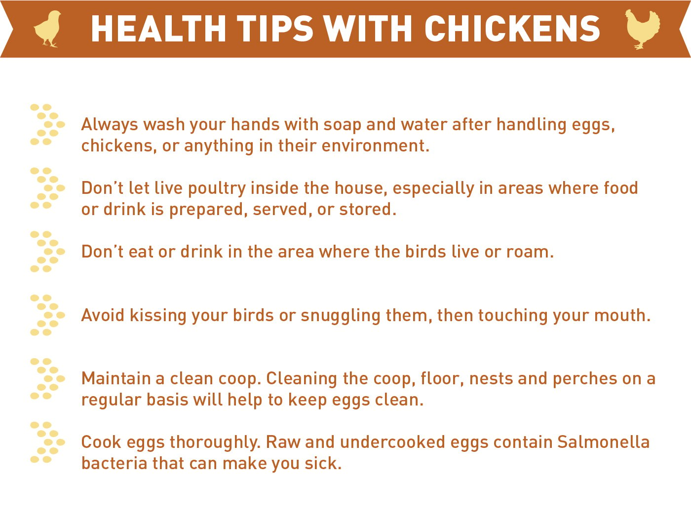 health tips for caring for your chickens