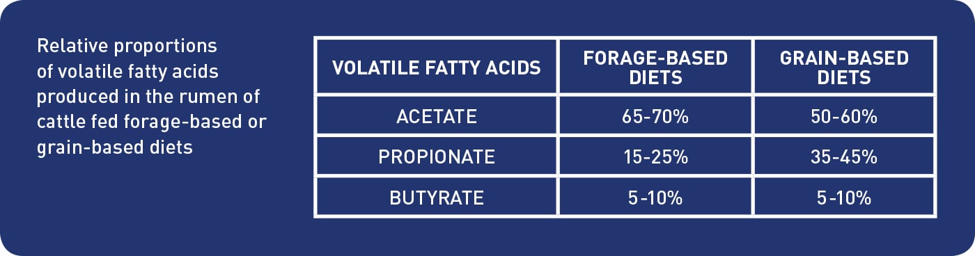 ionophores in cattle health