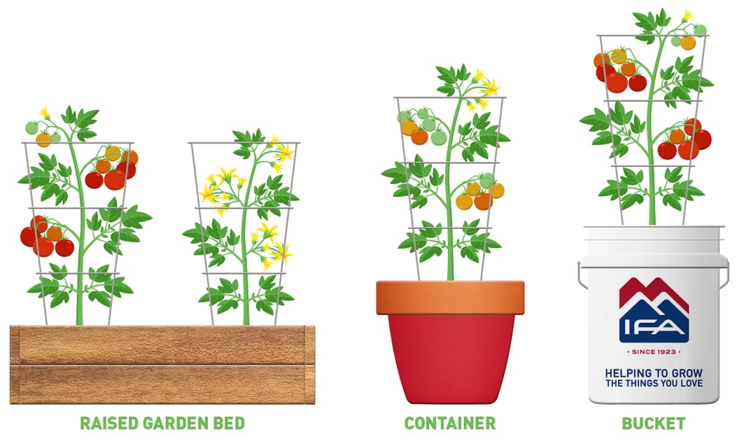 Different types of containers you can use in your garden.