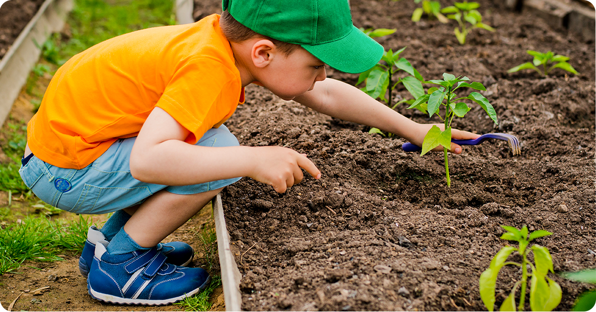 kids love to dig in their garden