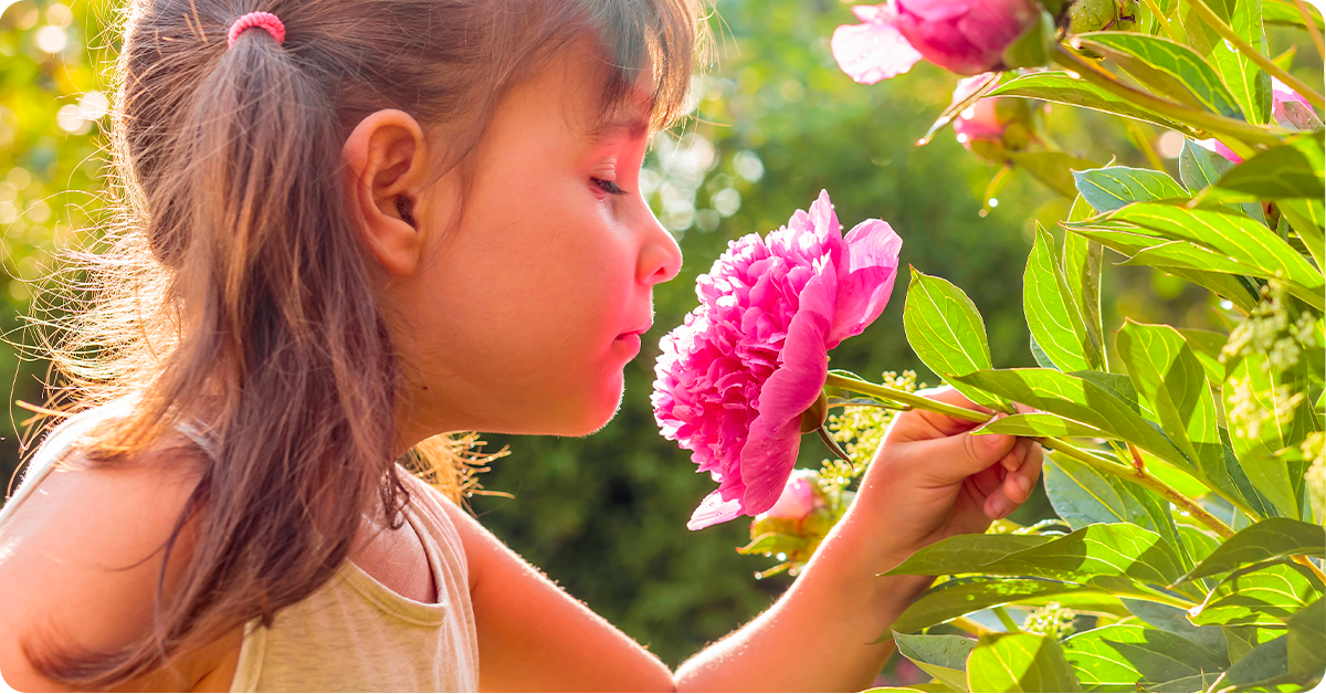 bright, beautiful flowers