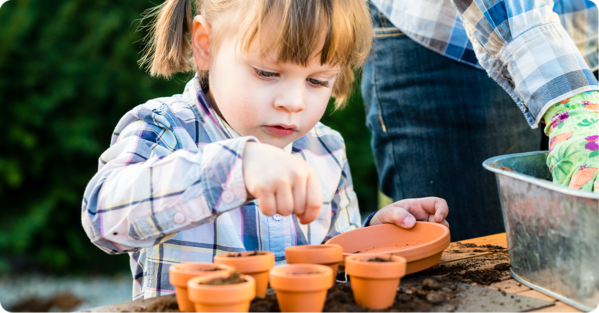 kids love to watch seeds grow