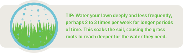 芝生に深く水をかける頻度は低く、