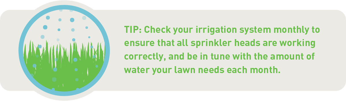 check your irrigation system every month