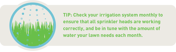 verifique seu sistema de irrigação todos os meses