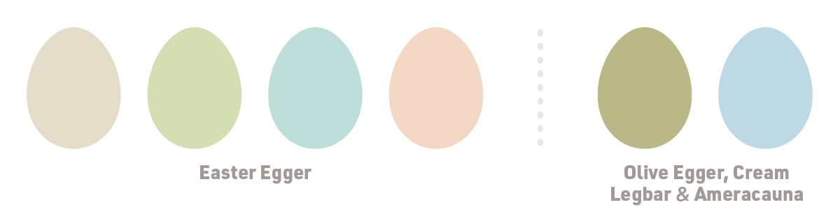 different shades of egg shells