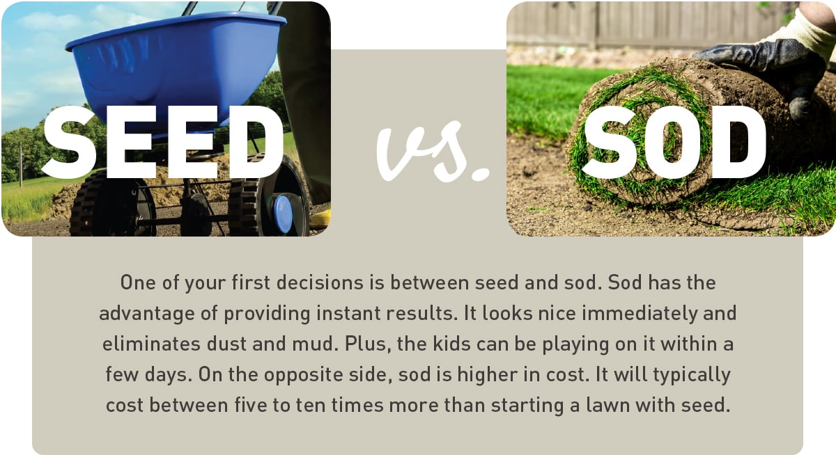 soil versus sod, what to consider when deciding which lawn method