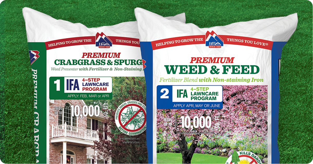 How to Identify & Control Lawn Weeds IFA's Helping to Grow Blog