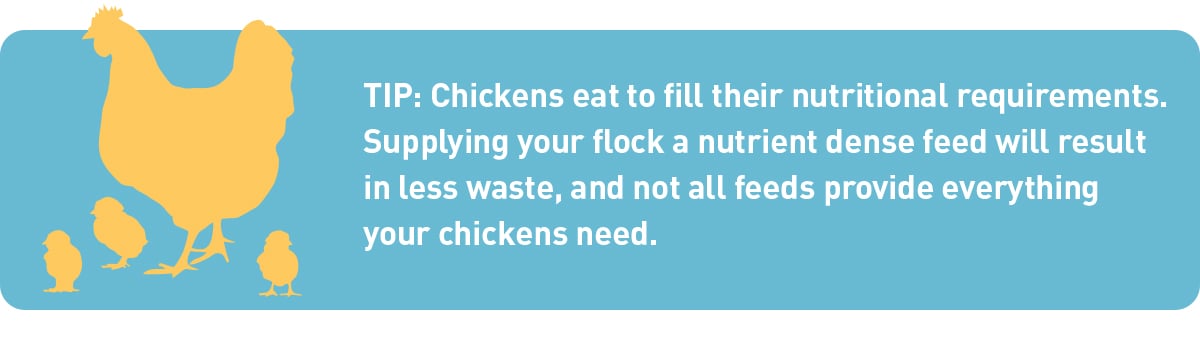 tips for chicken nutrition