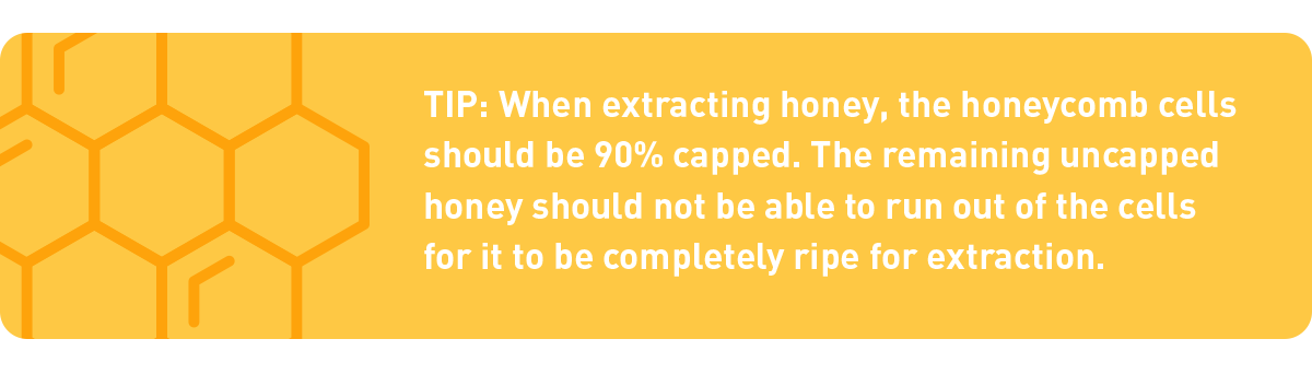 honey harvesting tip