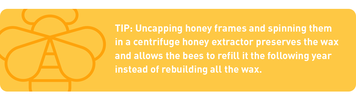 harvesting honey tip