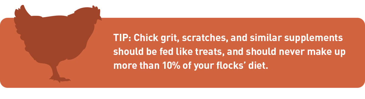 chicken tip: grit, scratch and supplements