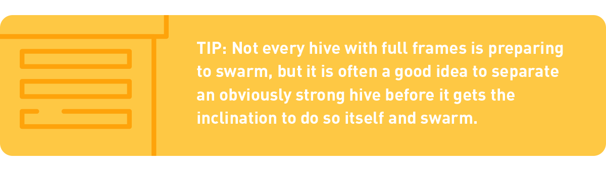 tip: not every hive with full frames is going to swarm