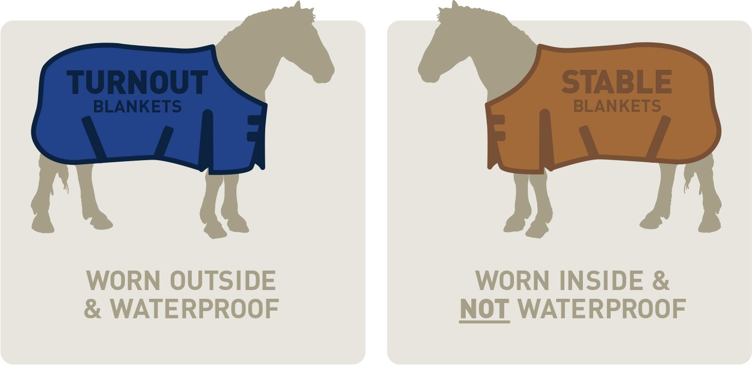 An Easy Guide to Winter Horse Blankets IFA's Helping to Grow Blog