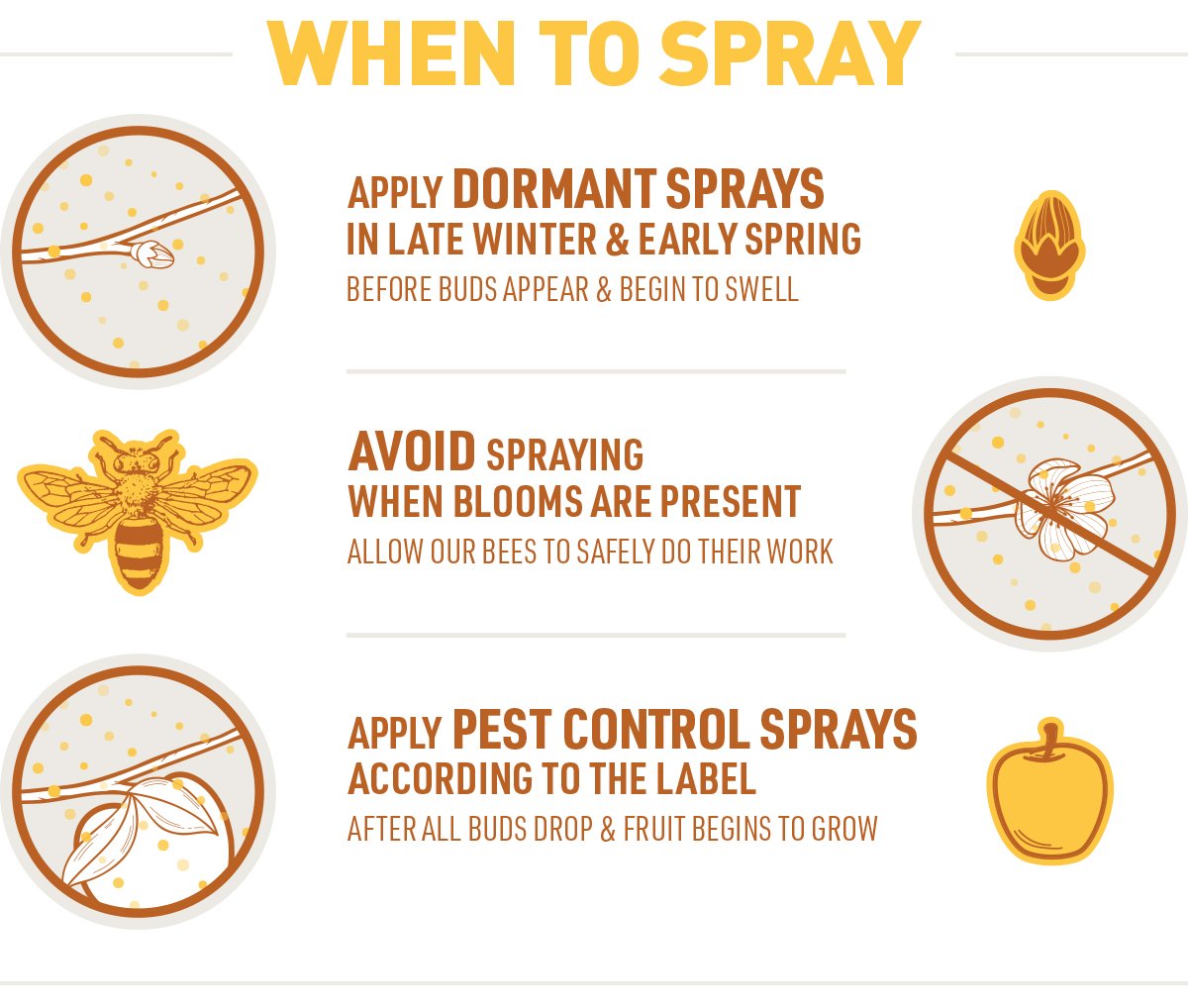 when to spray trees & shrubs for pest control