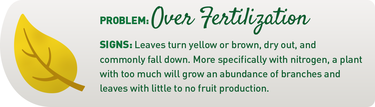 sign of over fertilizing illustration