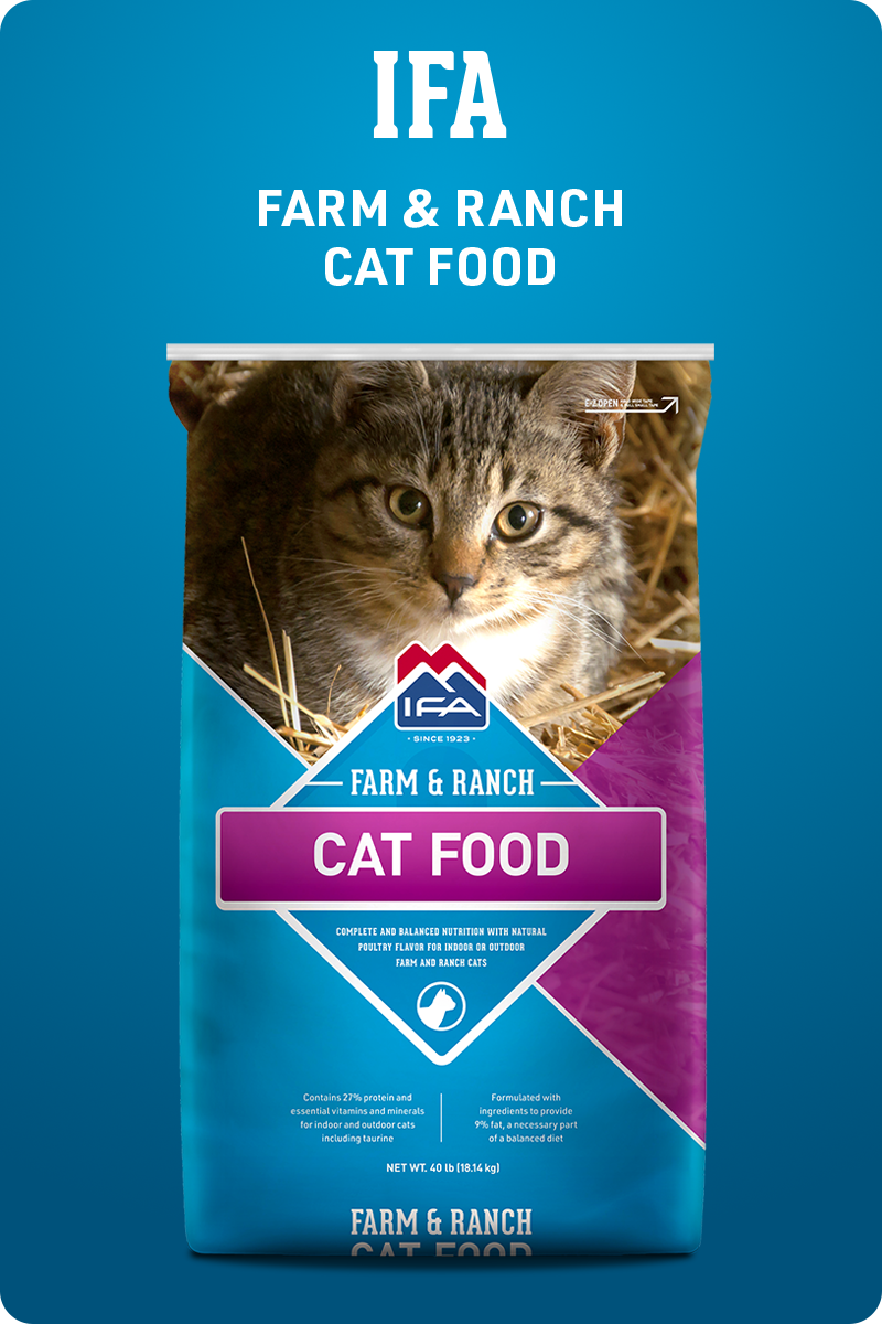 Product_Box_IFA-Cat-Food_img1
