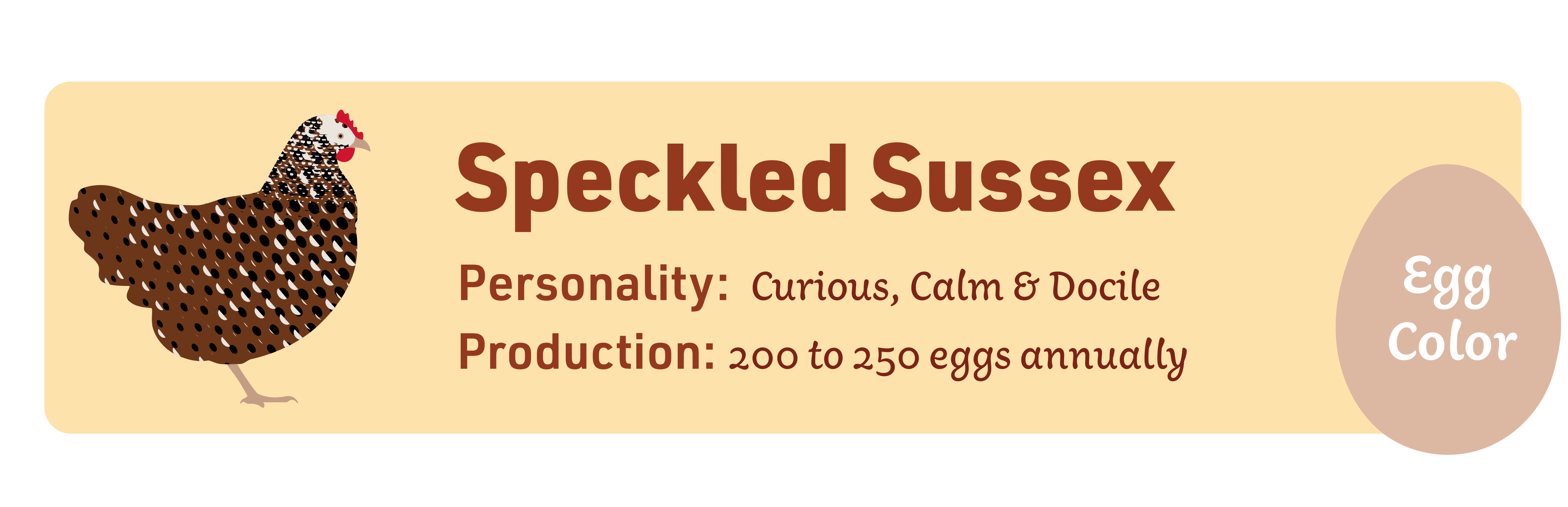 Speckled Sussex_Popular_chicks_v1-1