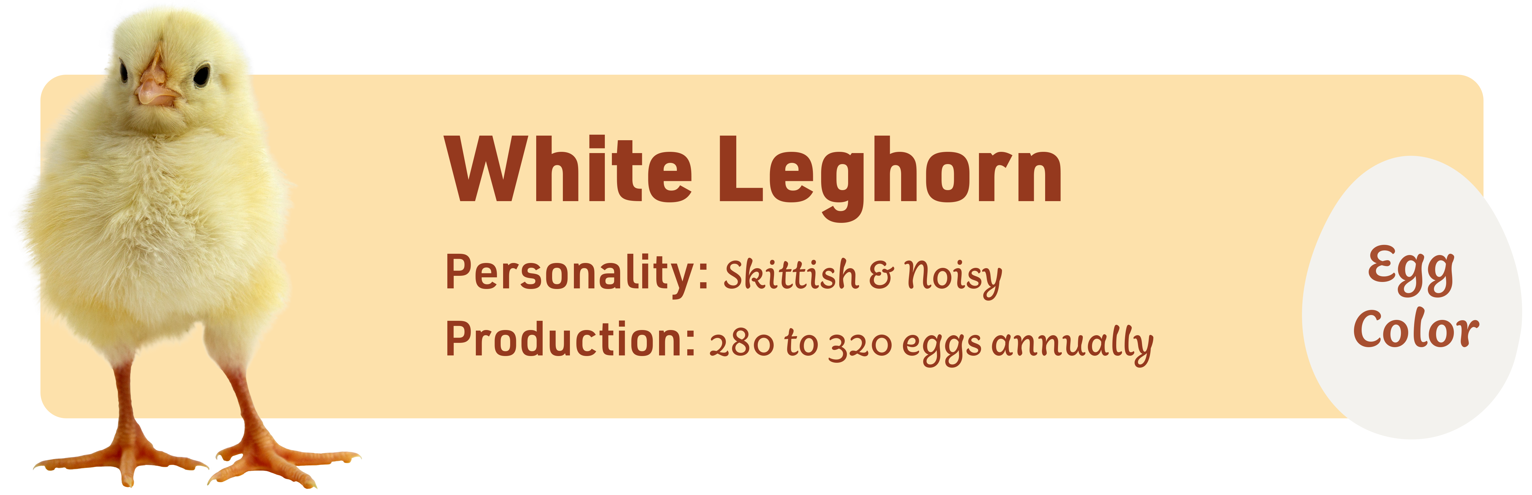 280 Names for Your Pet Bird