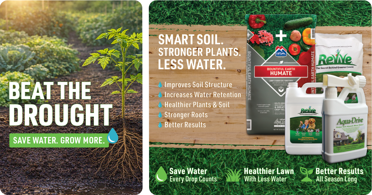 beat-the-drought-save-water-and-enjoy-green-lawn-img1