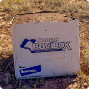 beef-cattle-protein-bovibox-block