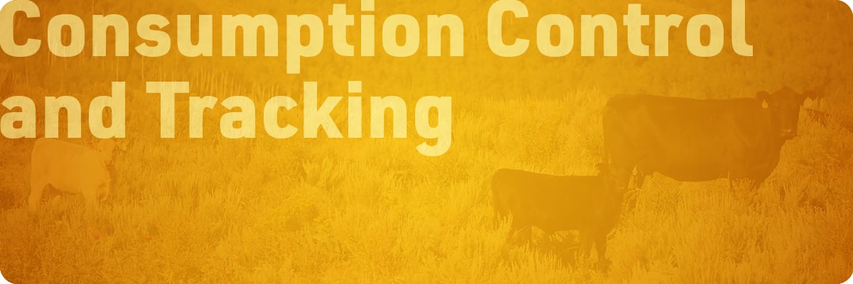 The Ultimate Guide to Beef Cattle Protein Supplementation | IFA's Blog