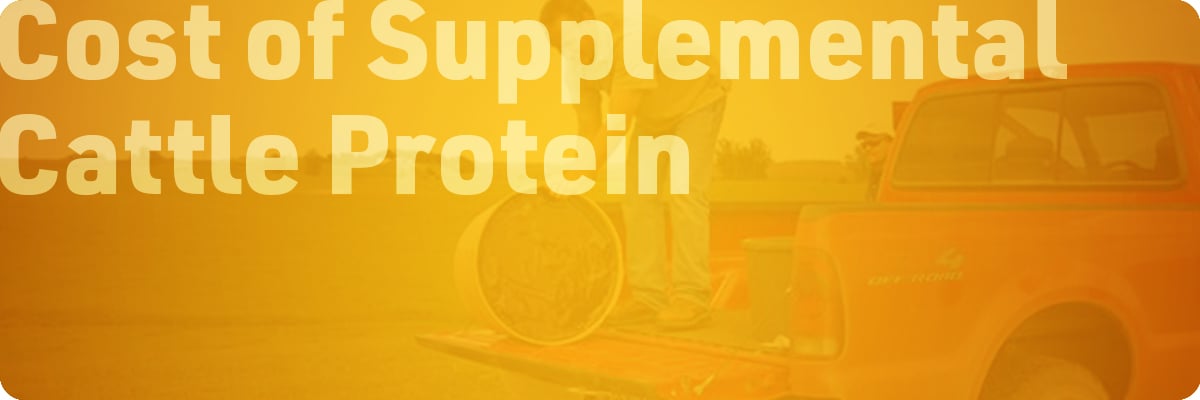 beef-cattle-protein-supplementation-sections-img1-cost-supplemental-cattle-protein