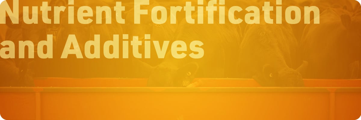 beef-cattle-protein-supplementation-sections-img1-nutrient-fortification-and-additives