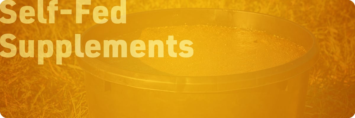 beef-cattle-protein-supplementation-sections-img1-self-fed-supplements
