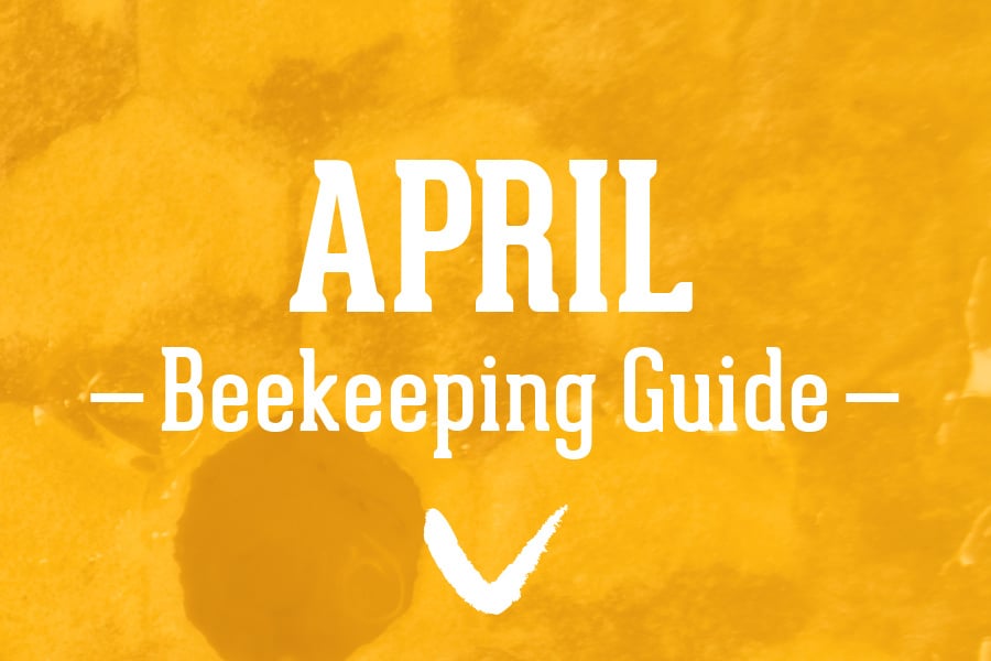 April-Beekeeping-Guide