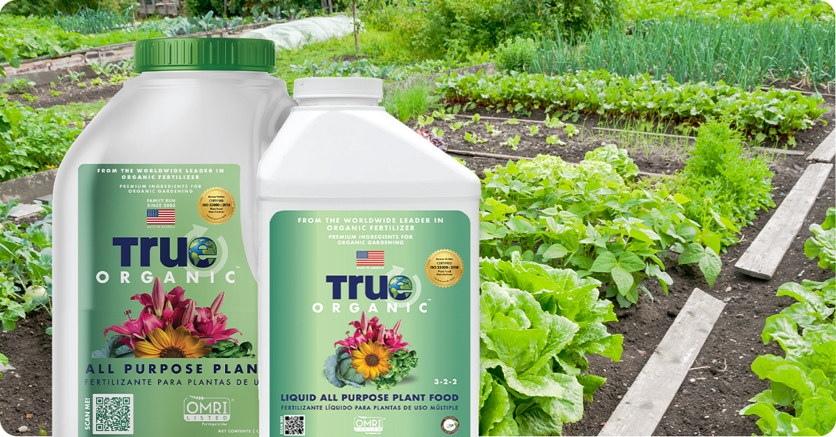 best-organic-all-purpose-fertilizer