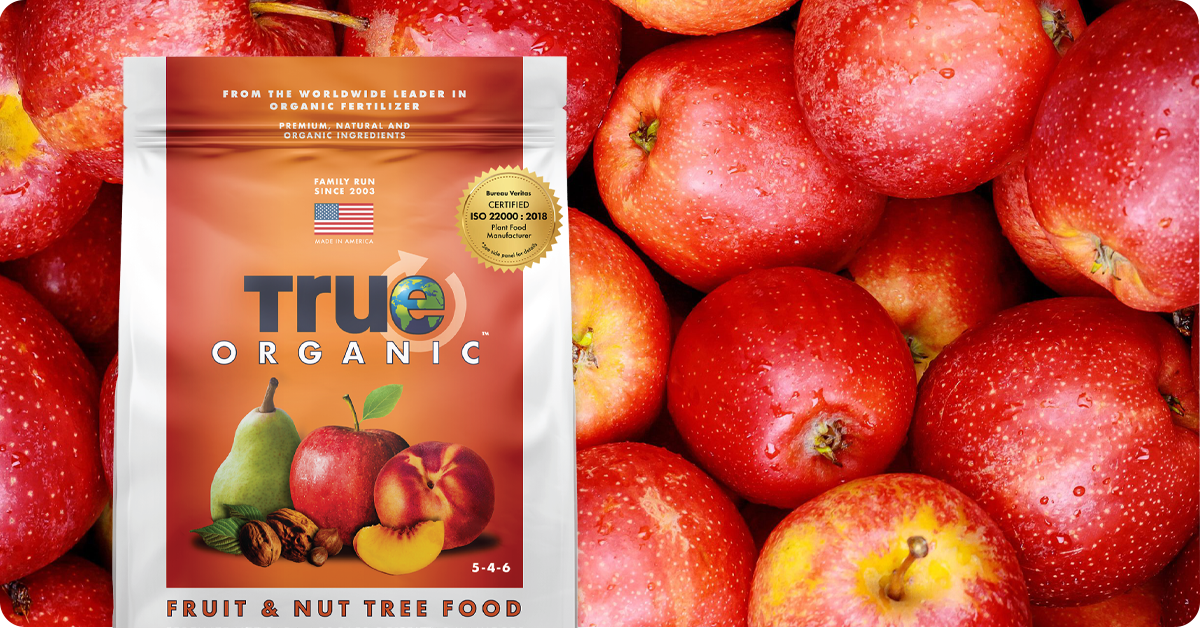 best-organic-fruit-tree-fertilizer