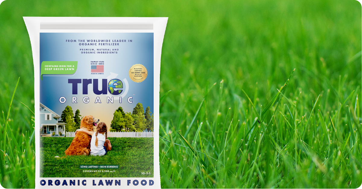 best-organic-lawn-fertilizer