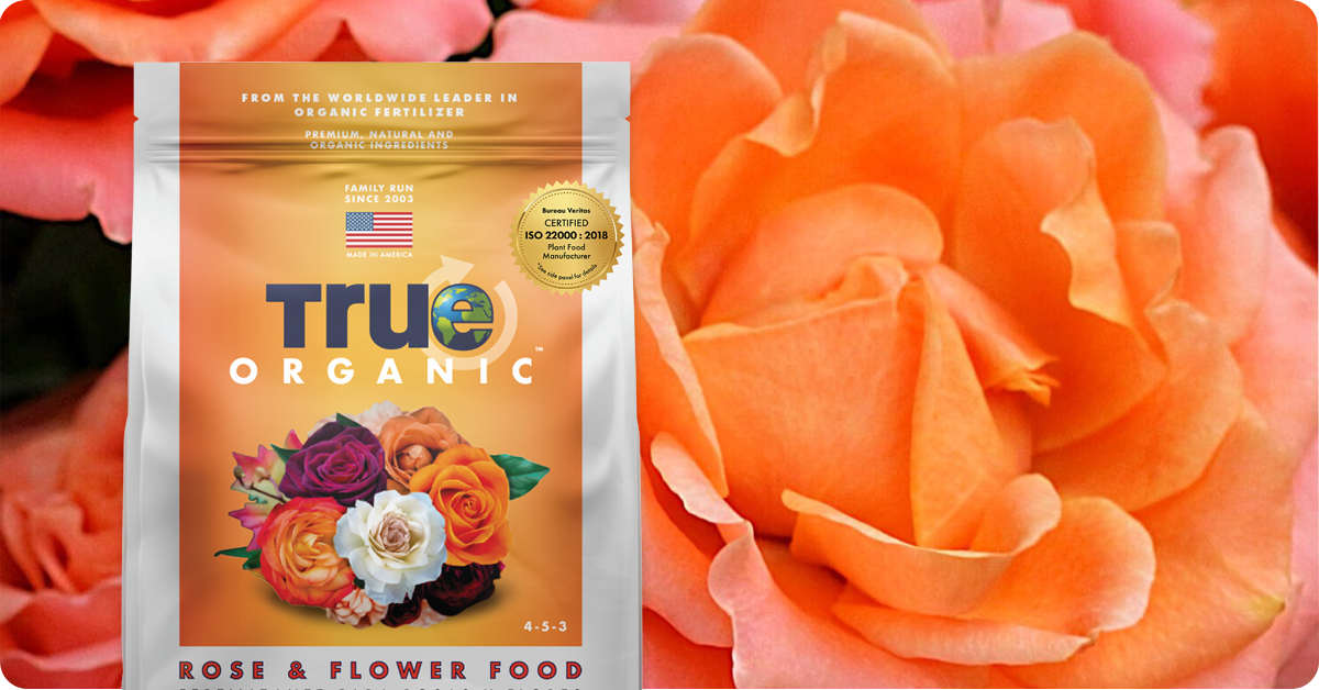 best-organic-rose-fertilizer