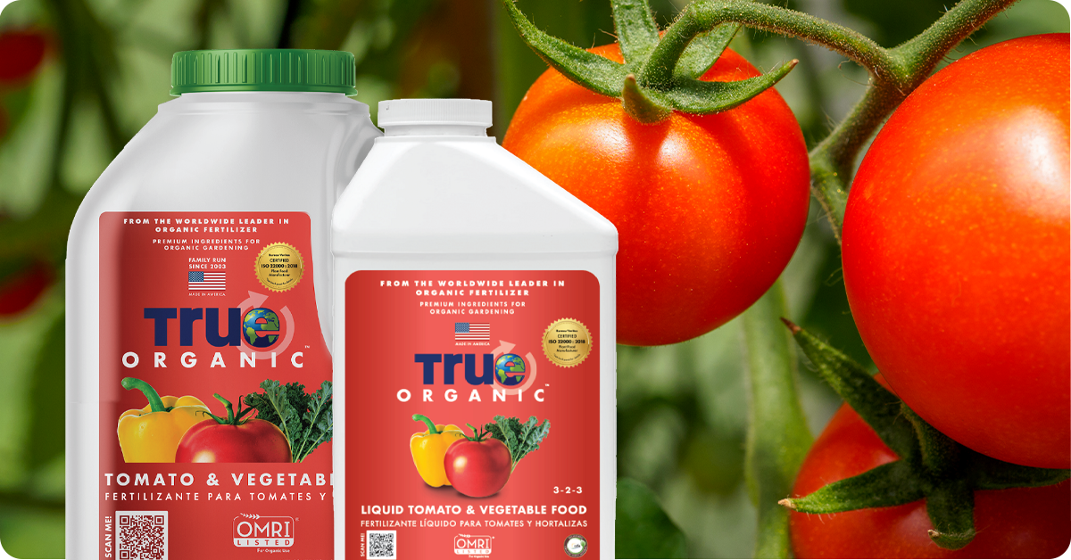 best-organic-tomato-fertilizer