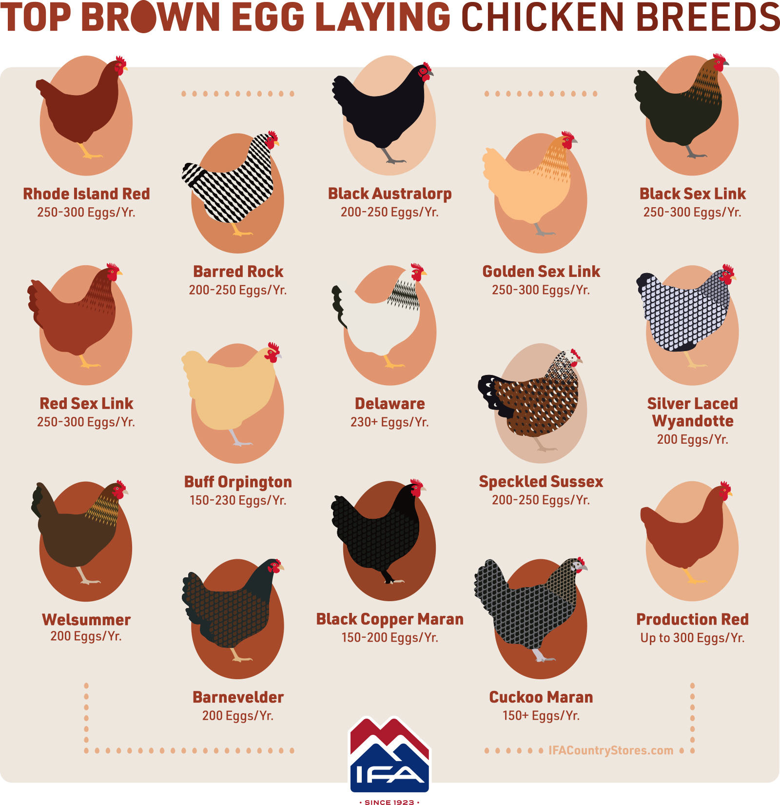 brown-egg-laying-chickens-infographic