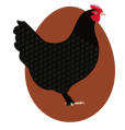 chicken-breed-600px-black-copper-maran