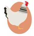 chicken-breed-600px-delaware