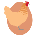chicken-breed-600px-golden-sex-link