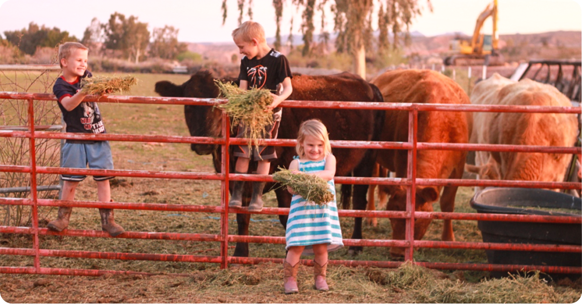 feature-wheeler-family-article-img2c