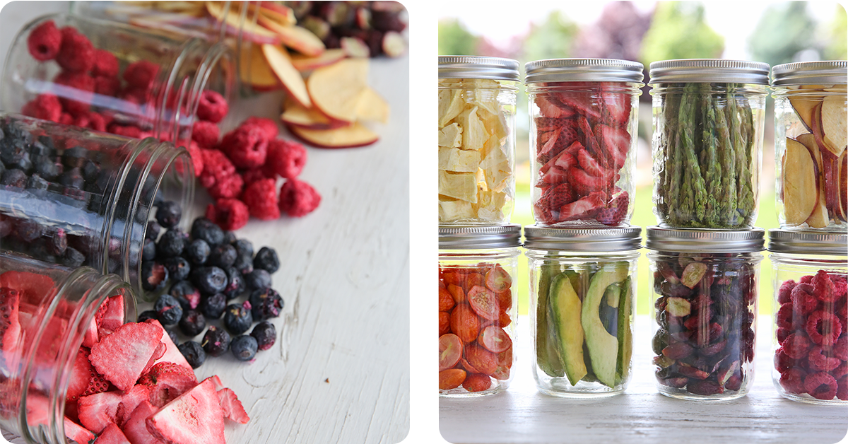 how-to-freeze-dry-food-fruits-veggies