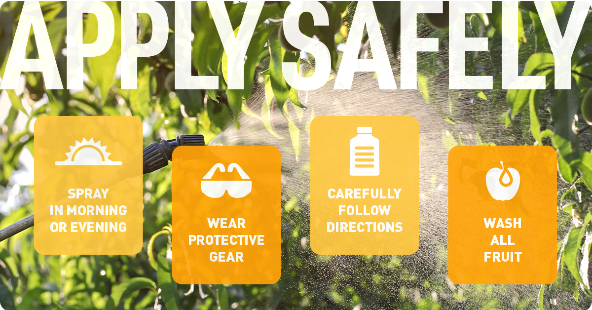 fruit-tree-pest-safety-img