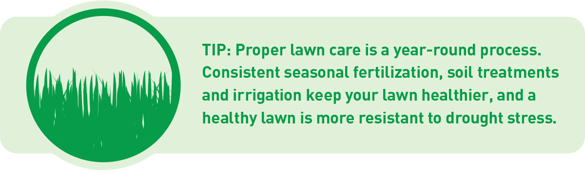 How To Keep Grass Green During Drought | IFA's Helping to Grow Blog