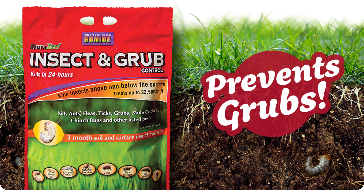 How To Get Rid of Grub Worms In Your Lawn | IFA's Helping to Grow Blog